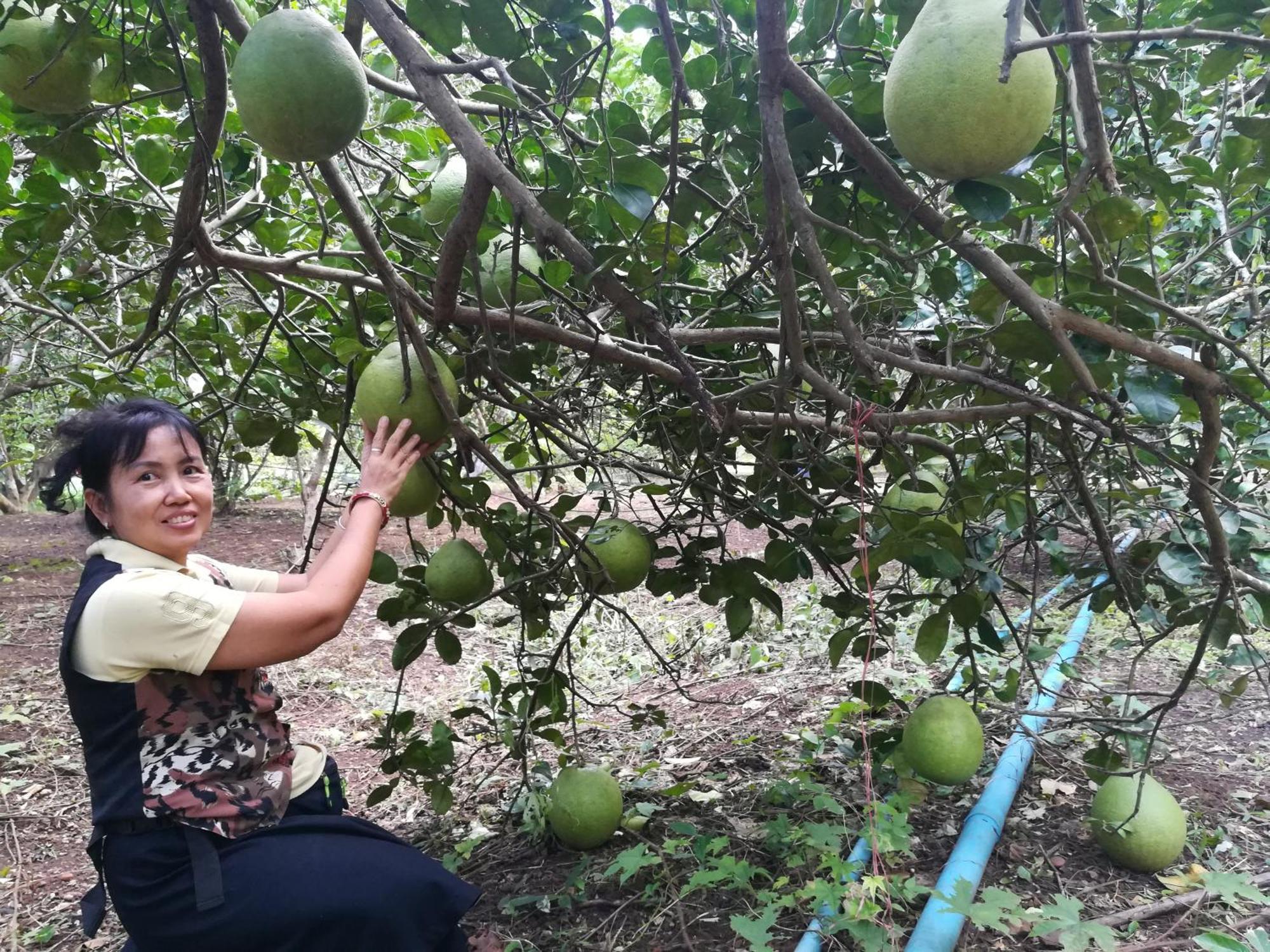 Star View Garden Vila Ban Huai Maenam Noi Exterior foto